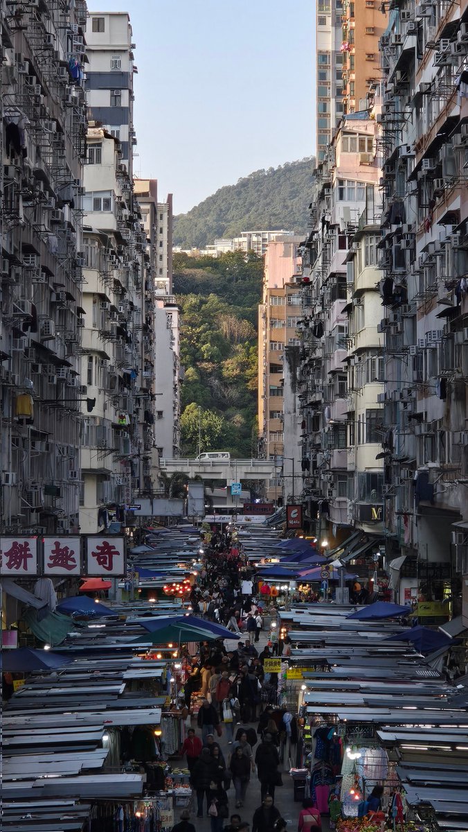 James 🇭🇰 Ockenden tweet media