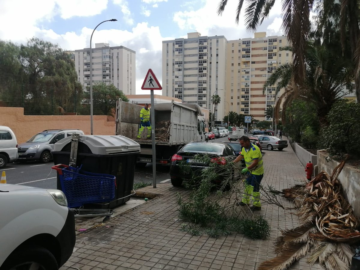 Servicio Municipal de Limpieza tweet media