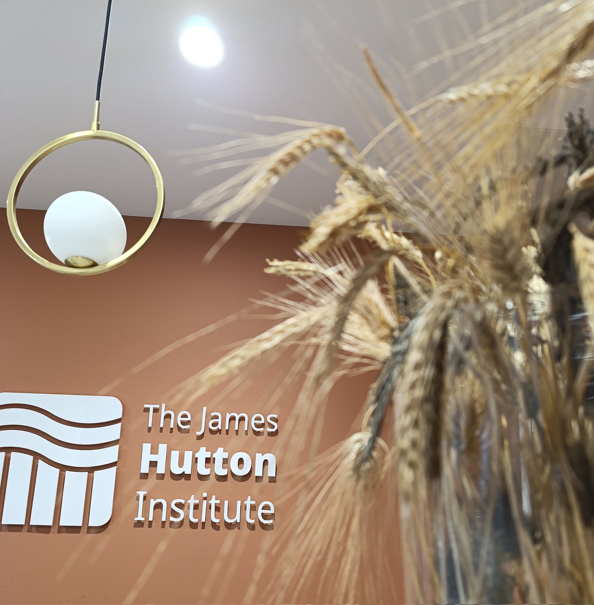 Ready for the second day of the <a href="/best_crop/">BEST-CROP</a> project meeting at @JamesHuttonInstp