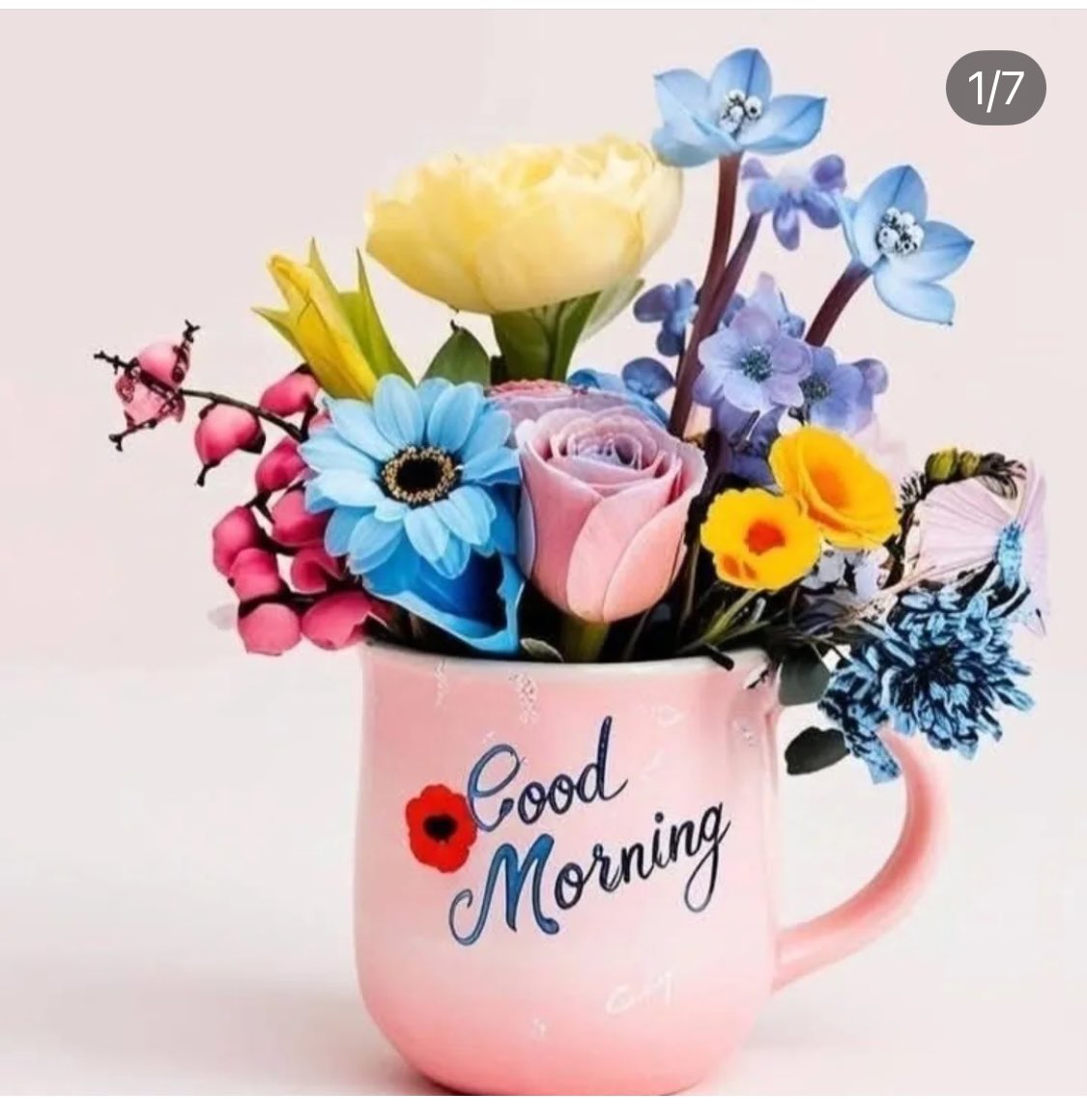 Guten Morgen Zusammen! 
Ich hoffe ihr seid all gesund. Ich im Moment nur so🤧🤧🤧schönen Tag. Lg