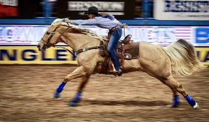 lilkwip's tweet image. I’m posting because I have tried all avenues to organise this for my dear friend Em, to no avail. To be frank I’m running out of time to do this and I need an immense amount of help from everyone in the #lioness fandom. If it wasn’t for this series I would have never had the…