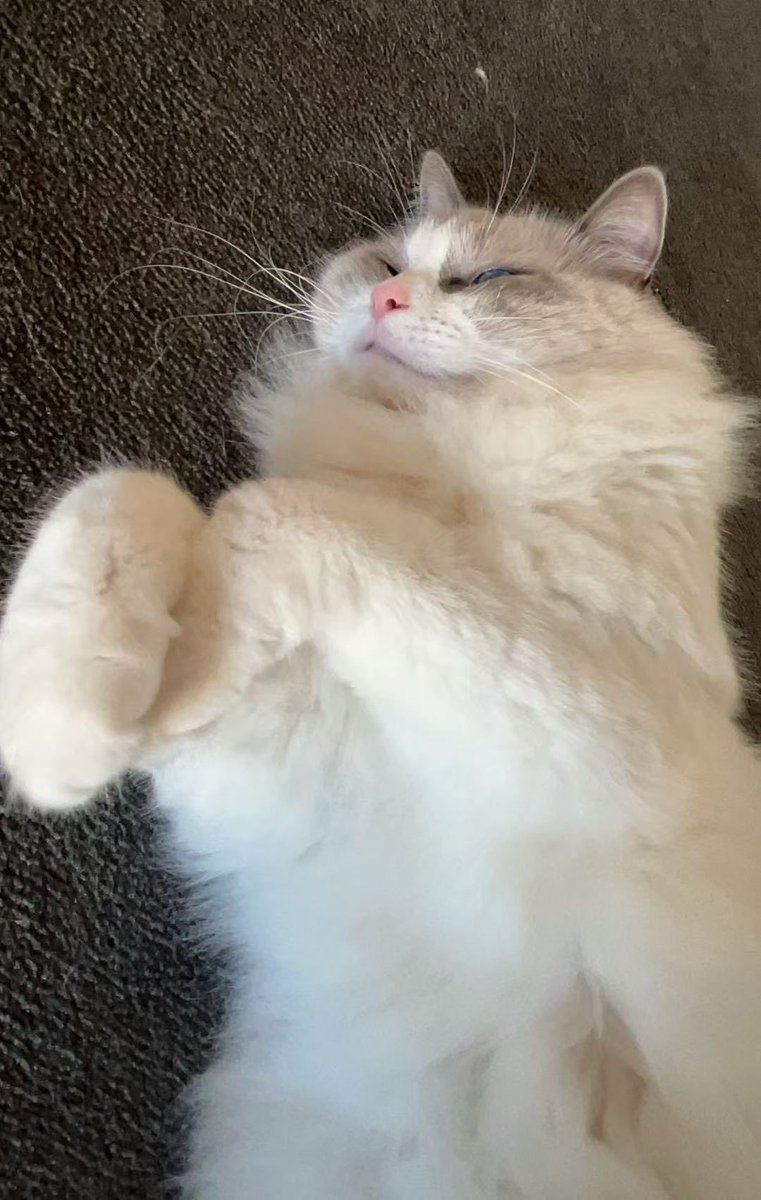 年初一：🐍年大吉！
年初七： 是但啦本Mo先瞓下（人人生日快樂🎂 ）