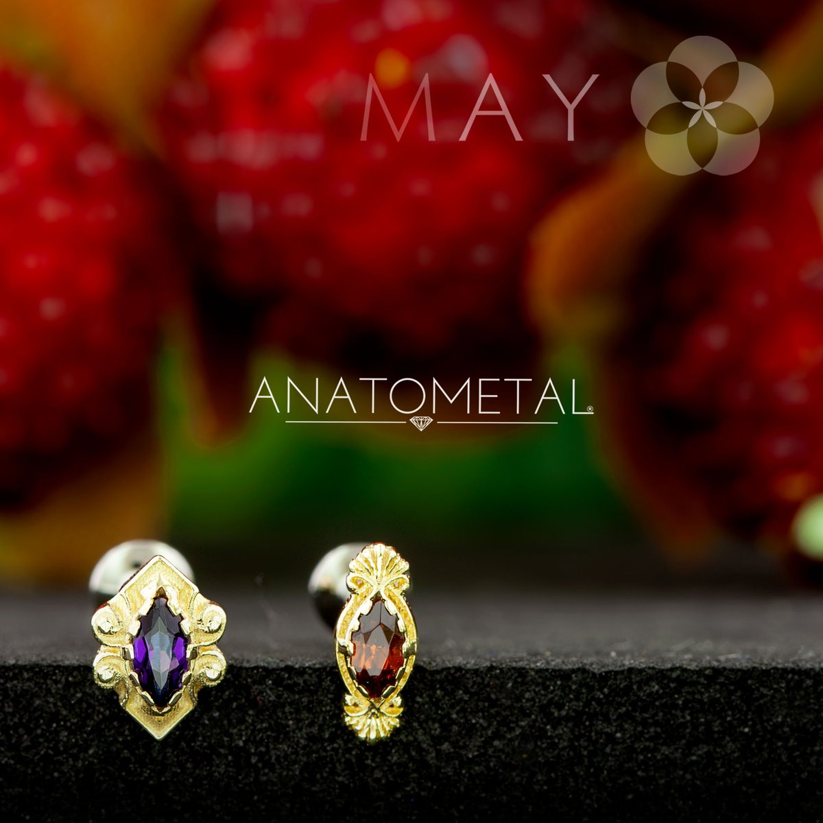 MAY ANATOMETAL JAPAN (@MAY_bodyjewelry) / Posts / X