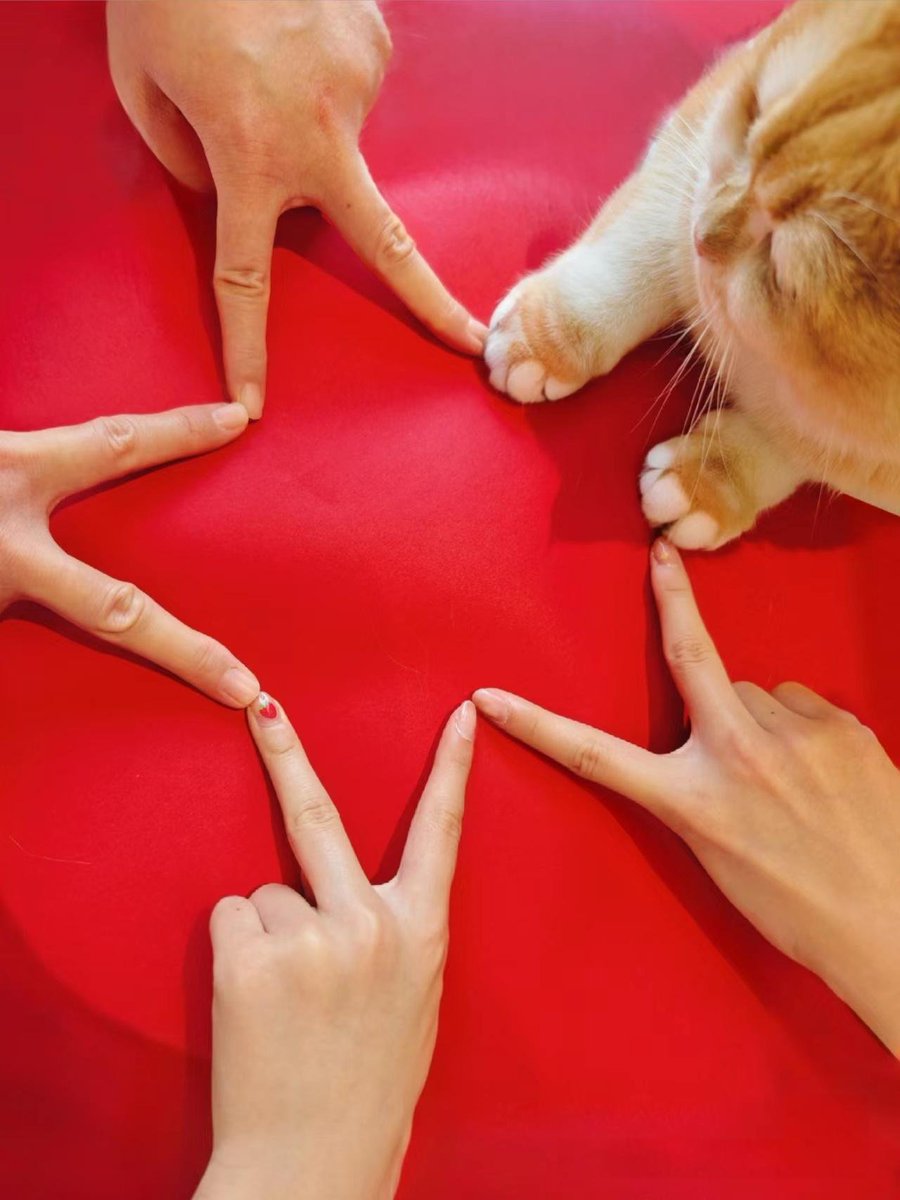 Love life tweet media