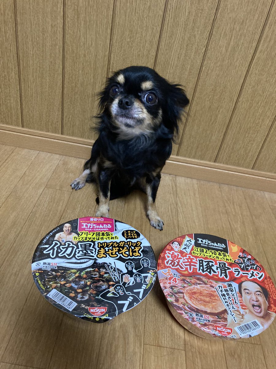 zip_mama's tweet photo. エガちゃん
ラーメンGET出来たよー😊🍥🍜
食べるの楽しみです(*´艸`)
 #あたおか
 #エガちゃんねる https://t.co/YsxUoMBMyF