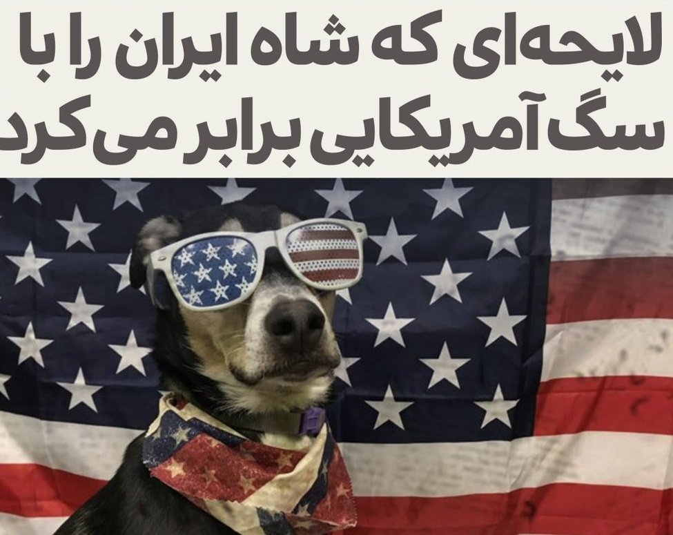 حتی گفتن این جمله پر از خفت و خواری برام سخته که شاه ایران کاری کرد که سگ امریکایی ارزشش از شاه مملکت بالاتر باشد. ❤️‍🩹
#انقلاب_امید 
#رایحه_ظهور