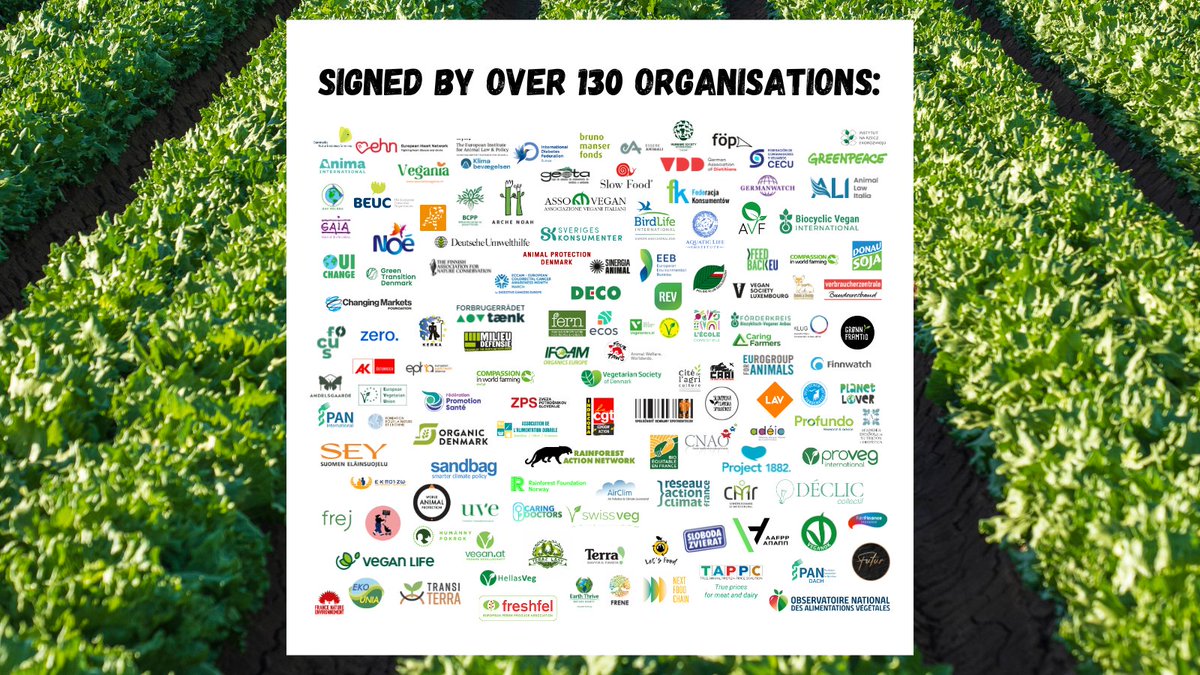 Slow Food Europe (@slowfoodeurope) on Twitter photo 🚨 First meeting of the EU Board for #Agriculture & #Food today!
<a href="/CHansenEU/">Christophe Hansen</a> & fellow members, it's time for an EU #PlantBased Plan to strengthen resilience, health & sustainability.
130+ organizations are calling for action—will you stand with us? 👉 bit.ly/42oqWAe 🚨 First meeting of the EU Board for #Agriculture & #Food today!
<a href="/CHansenEU/">Christophe Hansen</a> & fellow members, it's time for an EU #PlantBased Plan to strengthen resilience, health & sustainability.
130+ organizations are calling for action—will you stand with us? 👉 bit.ly/42oqWAe