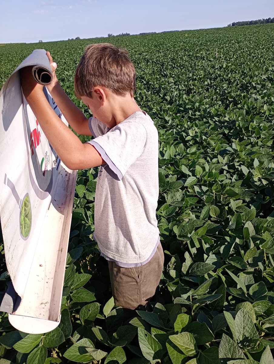 Aleferretti tweet media