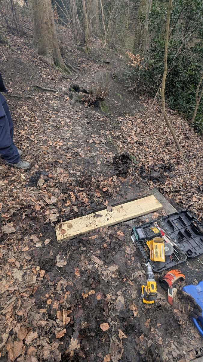 Over at Barley Hall this afternoon assessing gate damage then back via Herringthorpe Woods to mend a broken boardwalk
<a href="/simon_currie/">Cllr Simon (SId) Currie</a> 👍🏻