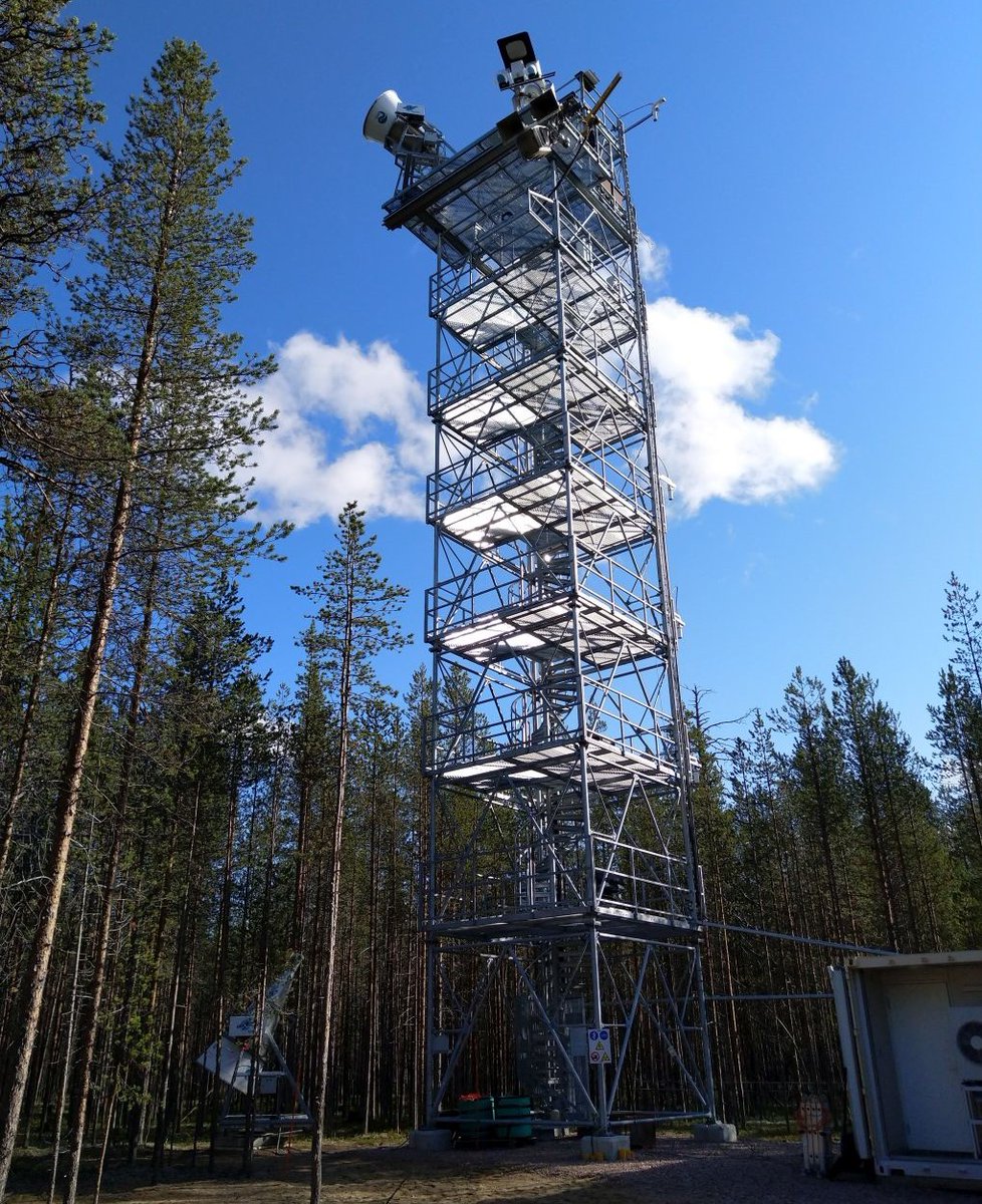 Simonetta Cheli tweet media