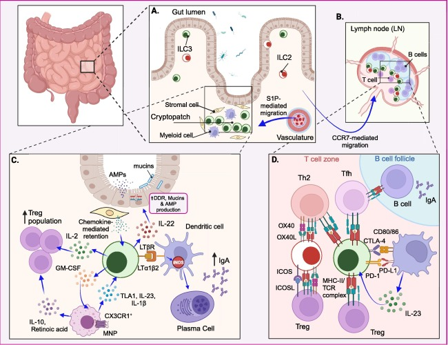 Waggoner Lab tweet media