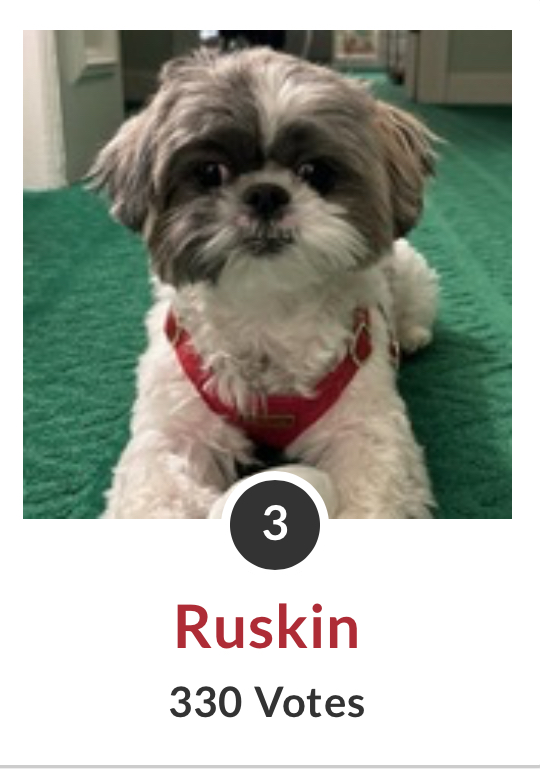 Forsyth Humane Society tweet media