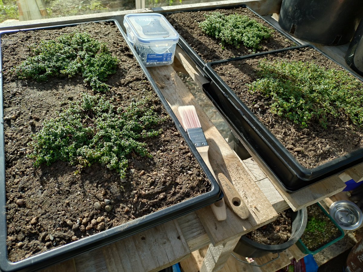 Paul Dalton tweet media