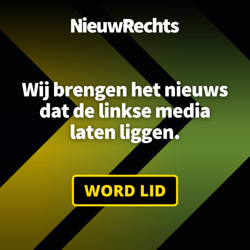 NieuwRechtsNL's tweet photo. Lees https://t.co/vlxccg5owc en sluit je aan bij Nederlanders die vinden dat het anders kan en anders moet.