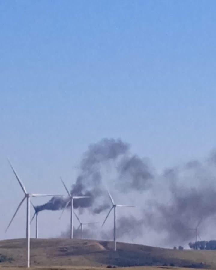 Martín Zeballos tweet media