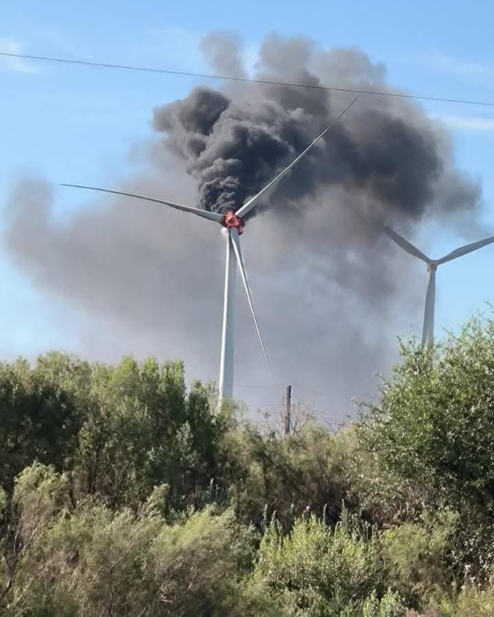 Martín Zeballos tweet media