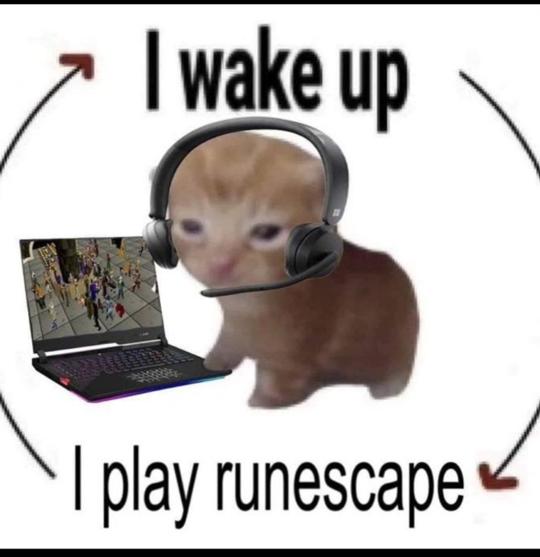 MrPNess2's tweet photo. @cozzixbt @runescapesolana This is the ticker

#Runscape

@runescapesolana https://t.co/vkaG6xgNy0
