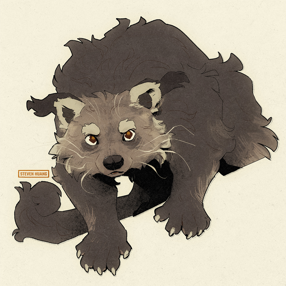 EvenSteven_H's tweet photo. Binturongs got cool ears!! https://t.co/PHu8CB1yzg