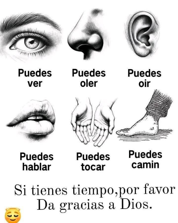 Dios te Bendiga 💙 tweet media