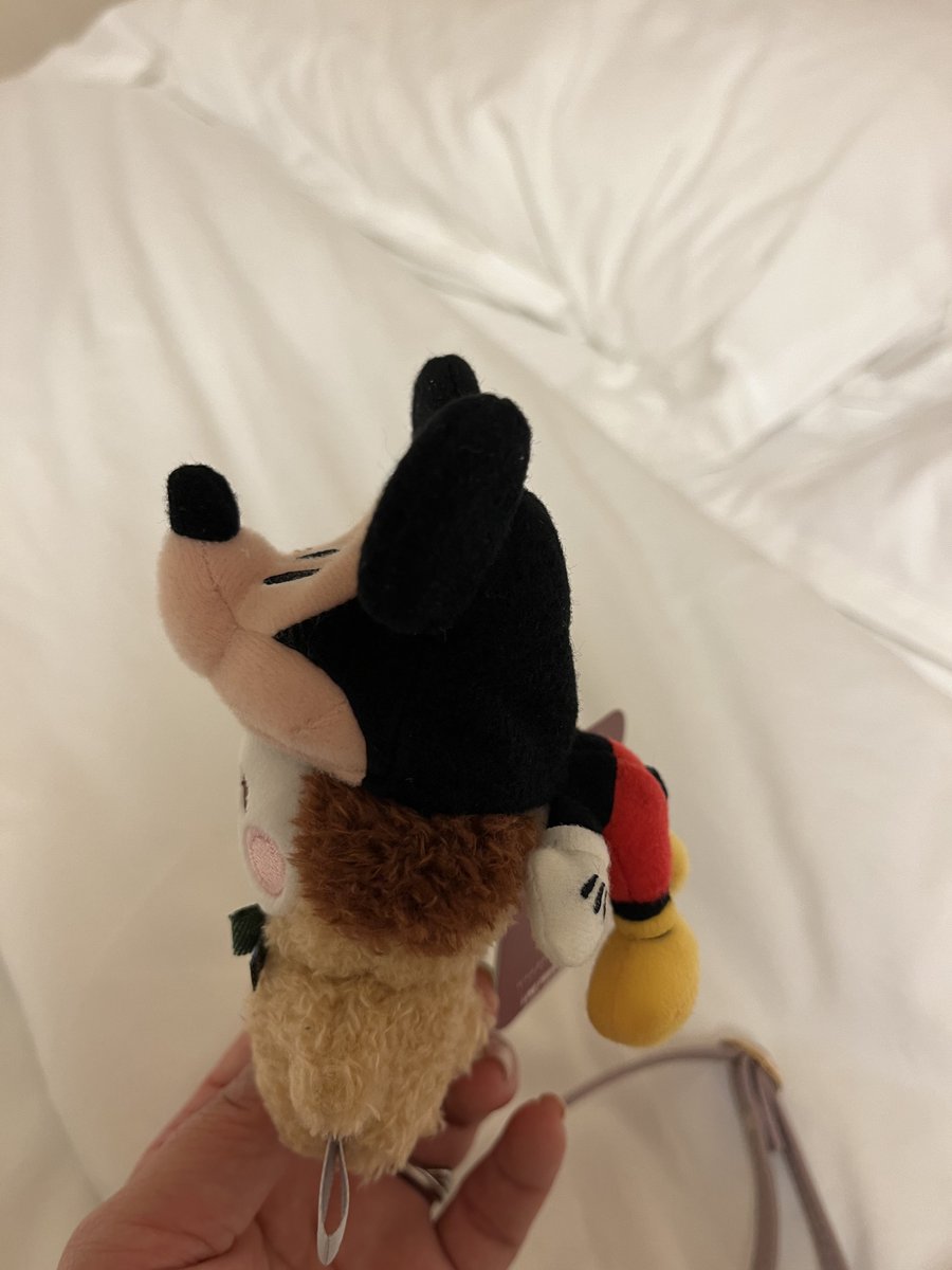 ちむだん ゼクスギア イン | 攻撃用 | 製品情報 | VICTAS卓球用品メーカー