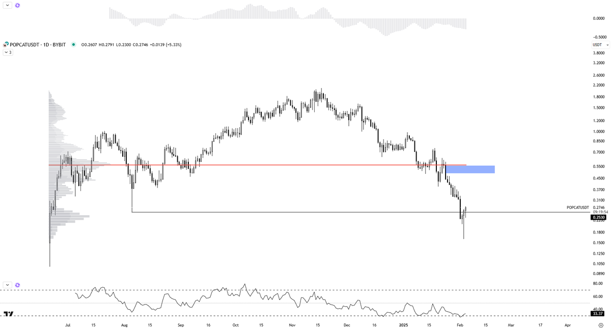 Solid 堅固 ⬡ tweet media