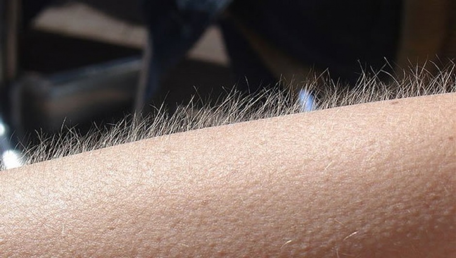 barrabrava_net's tweet image. Cancion de cancha que te pone la piel asi