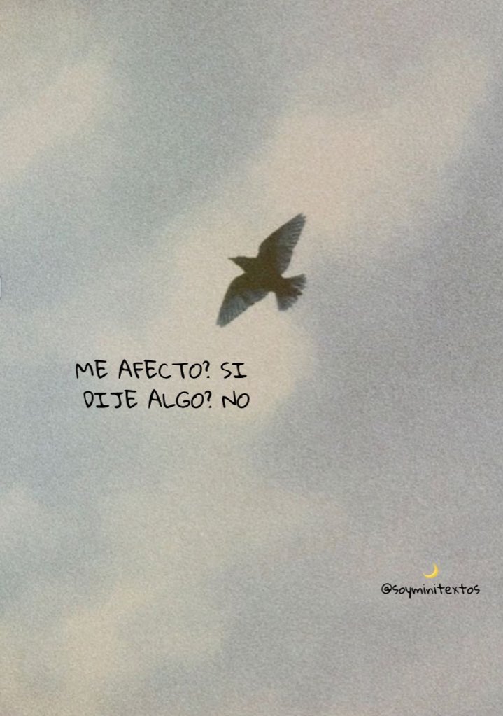 🌙 mini textos (@soyminitextos) on Twitter photo 