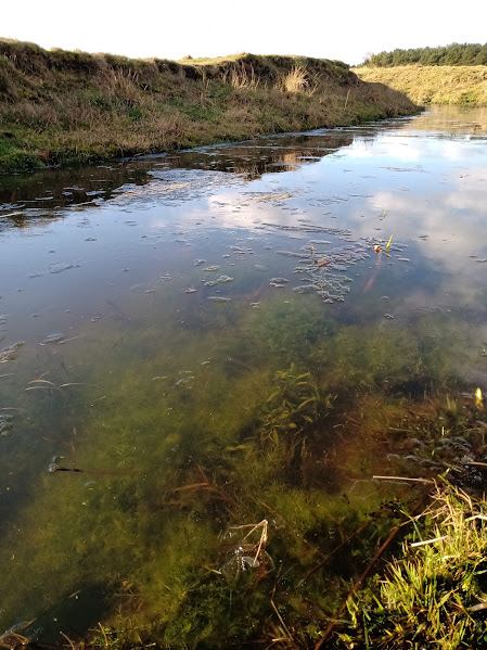 BDS Scotland tweet media