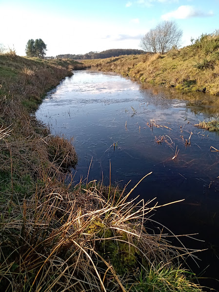 BDS Scotland tweet media