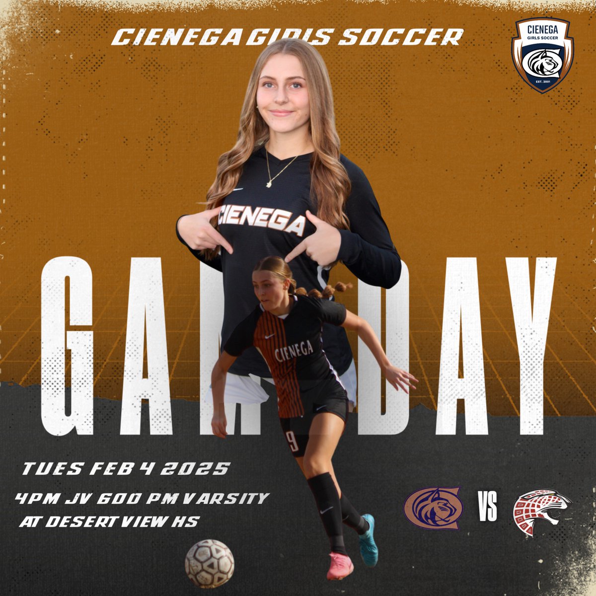 GAME DAY! Let's go girls! Come out and see our freshman standout <a href="/ShylaGoodin_/">Shyla Goodin</a> at our away game today at Desert View as region play continues. #thatsourfreshman