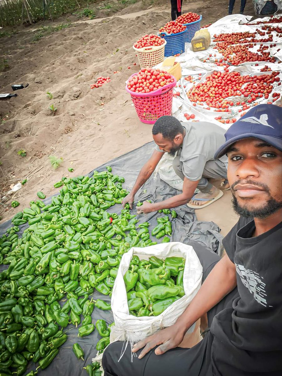 Produbio Congo tweet media