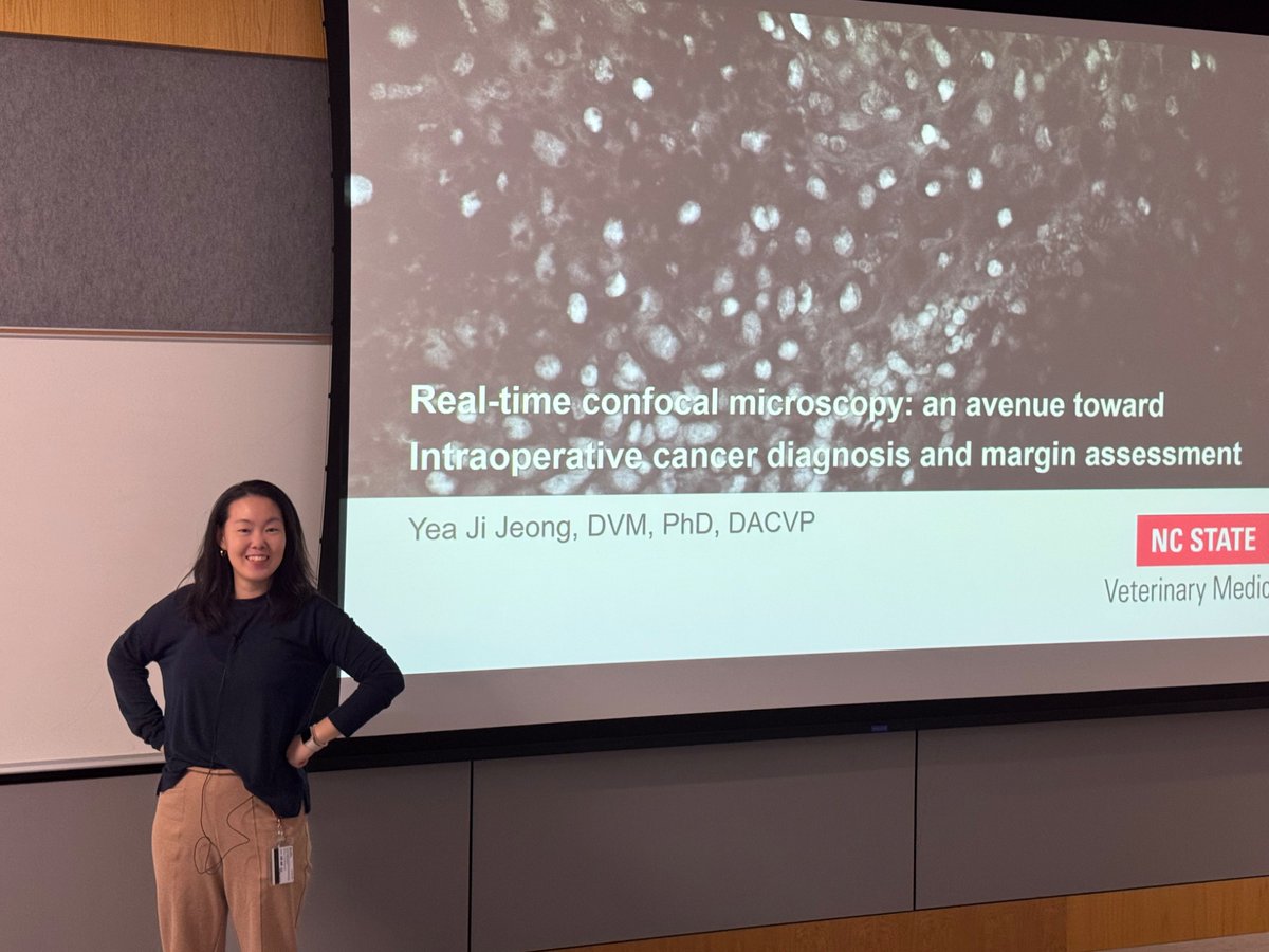 Yea Ji Jeong (@yeajijeong) on Twitter photo Started Tuesday morning talking about things I love: cancer and microscopy🔬
Intraoperative diagnosis is something we are missing on in veterinary medicine and will be essential to providing the best care for our veterinary patients!
<a href="/CVMResearch/">NCSU CVM Research</a> #pathology #CancerResearch Started Tuesday morning talking about things I love: cancer and microscopy🔬
Intraoperative diagnosis is something we are missing on in veterinary medicine and will be essential to providing the best care for our veterinary patients!
<a href="/CVMResearch/">NCSU CVM Research</a> #pathology #CancerResearch