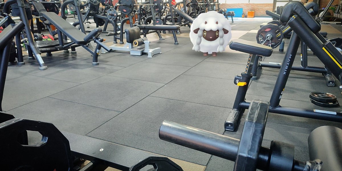 Workout day!