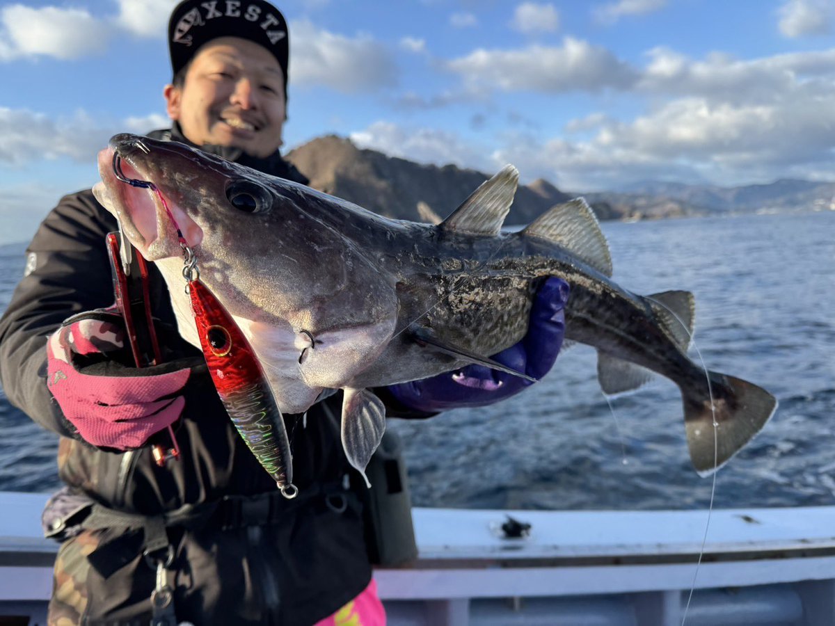 soa_fishing's tweet photo. 土曜日は花露辺の荒神丸さんでタラジギング!
朝イチは反応出るも食い渋っている様子…
前半は手を替え品を替えでポツポツ拾って、
後半は活性上がって連発♪
処理も大変なので遠慮しながら?釣りましたが船中200本以上の爆釣でした!笑
#xesta #slowemotion #荒神丸 #岩手 #タラジギング #PR https://t.co/Wl8i3KVTWT
