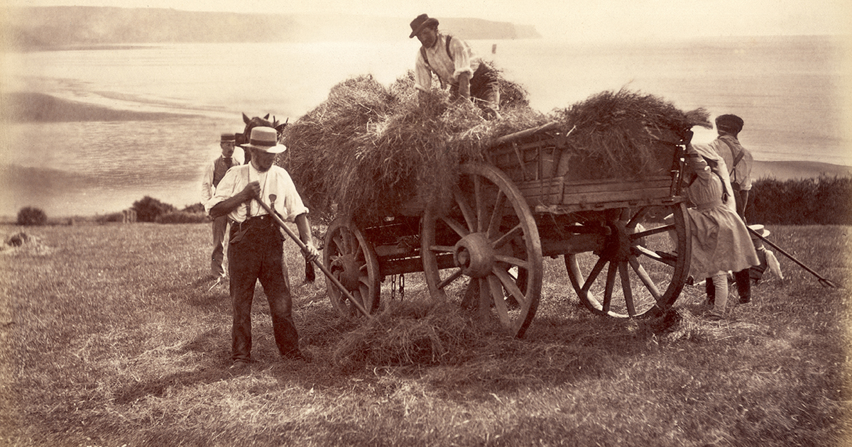 👨‍🌾 Do you have an 'ag lab' ancestor? Until the 19th century, many of our ancestors worked as agricultural labourers - here's how to trace them:

whodoyouthinkyouaremagazine.com/tutorials/jobs…