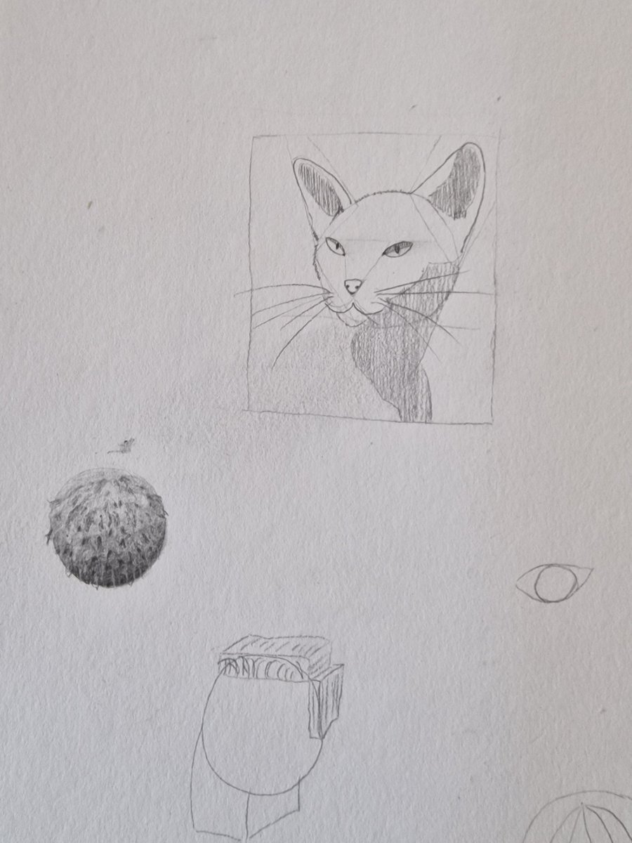 The_ArtCreator's tweet photo. Also dafür, dass ich noch nie eine Katze konstruiert habe, finde ich meine 1. Katzenskizze und auch das Katzenauge gar nicht mal so schlecht... https://t.co/pcUPIVDX9f