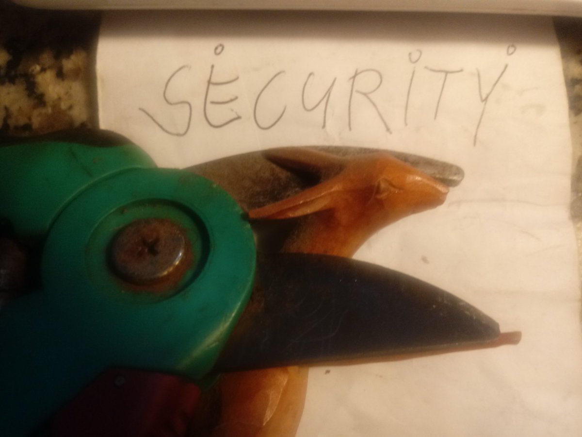 PiratesMovement's tweet photo. Was haltet ihr von deuscher #bürgergeld'gestützter #Security #Piraten? ⚠ https://t.co/0TkGPkWQj7