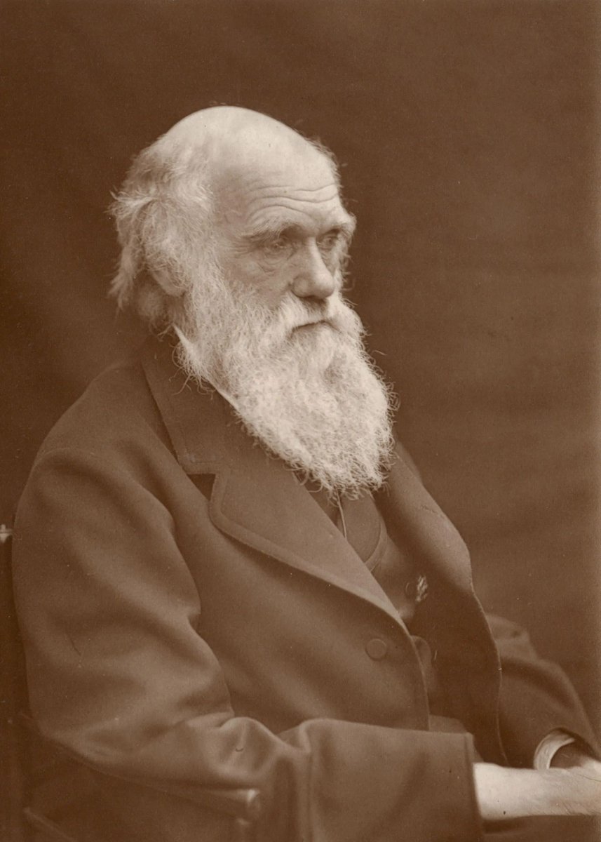 Today in 1868, Charles Darwin began writing his book Descent of Man, which gave us this wisdom: "Ignorance more frequently begets confidence than does knowledge: it is those who know little who so positively assert that this or that problem will never be solved by science."