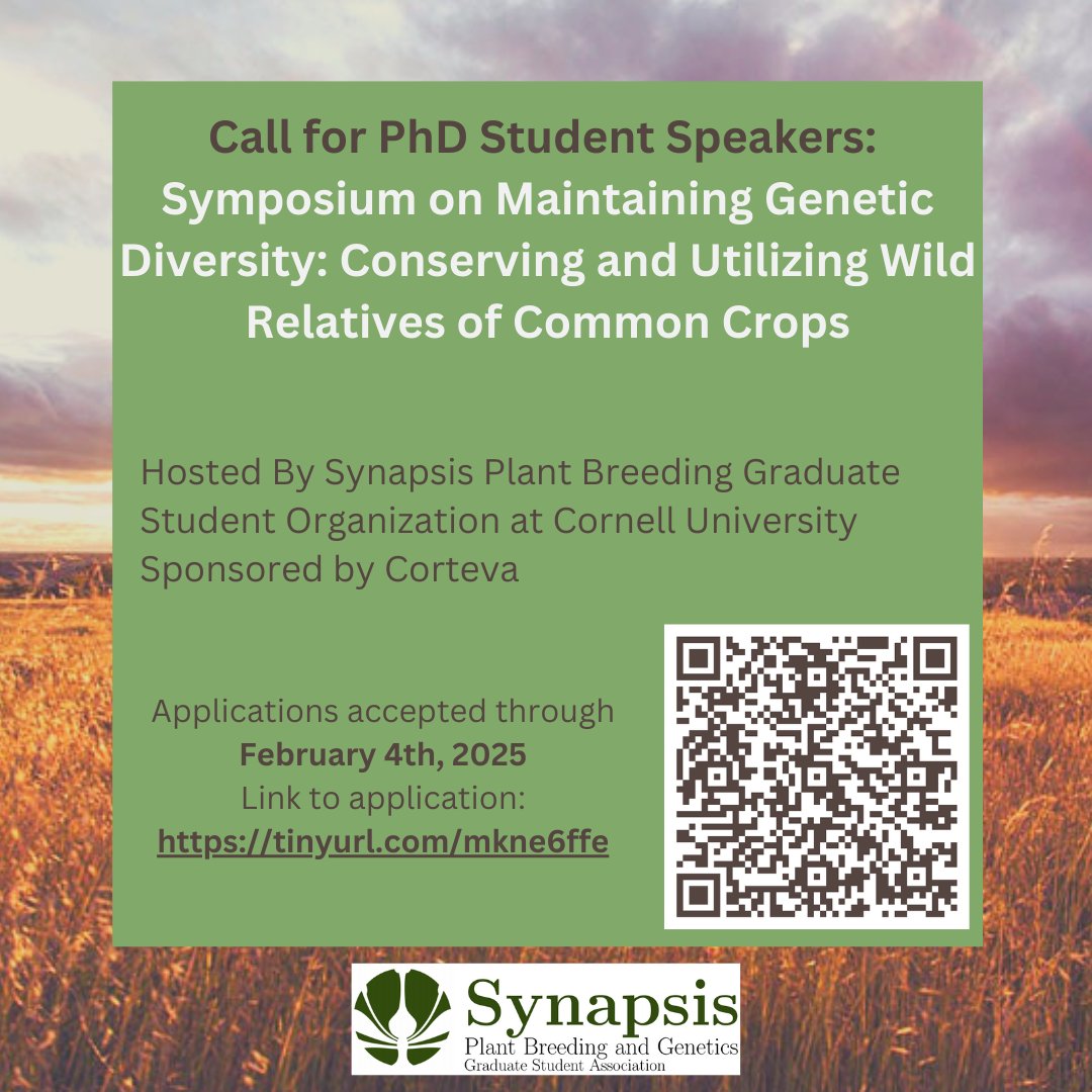 Cornell Synapsis tweet media