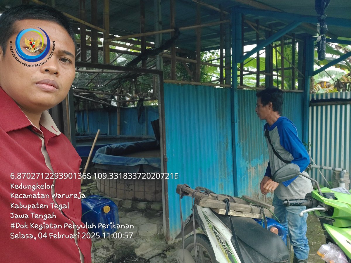 sugi_tanto's tweet photo. Selasa (4/02/2025) Sugi H Luhkan Kab Tegal, Pandampingan Panen ikan lele milik Bpk Umam desa Kedungkelor Kecamatan Warureja sebanyak 104 Kg dgn harga Rp 20rb/kg. #GiatLuhkanSatminkalBogor #luhlapor #budidaya #PPLkabtegal @dpp_ipkani @brpbatpp_bogor @pusluh_bppsdm @diskankabtegal https://t.co/tyoIoSjIOK