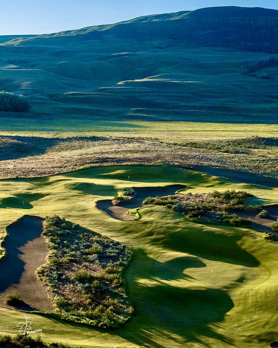 Evan Schiller tweet media