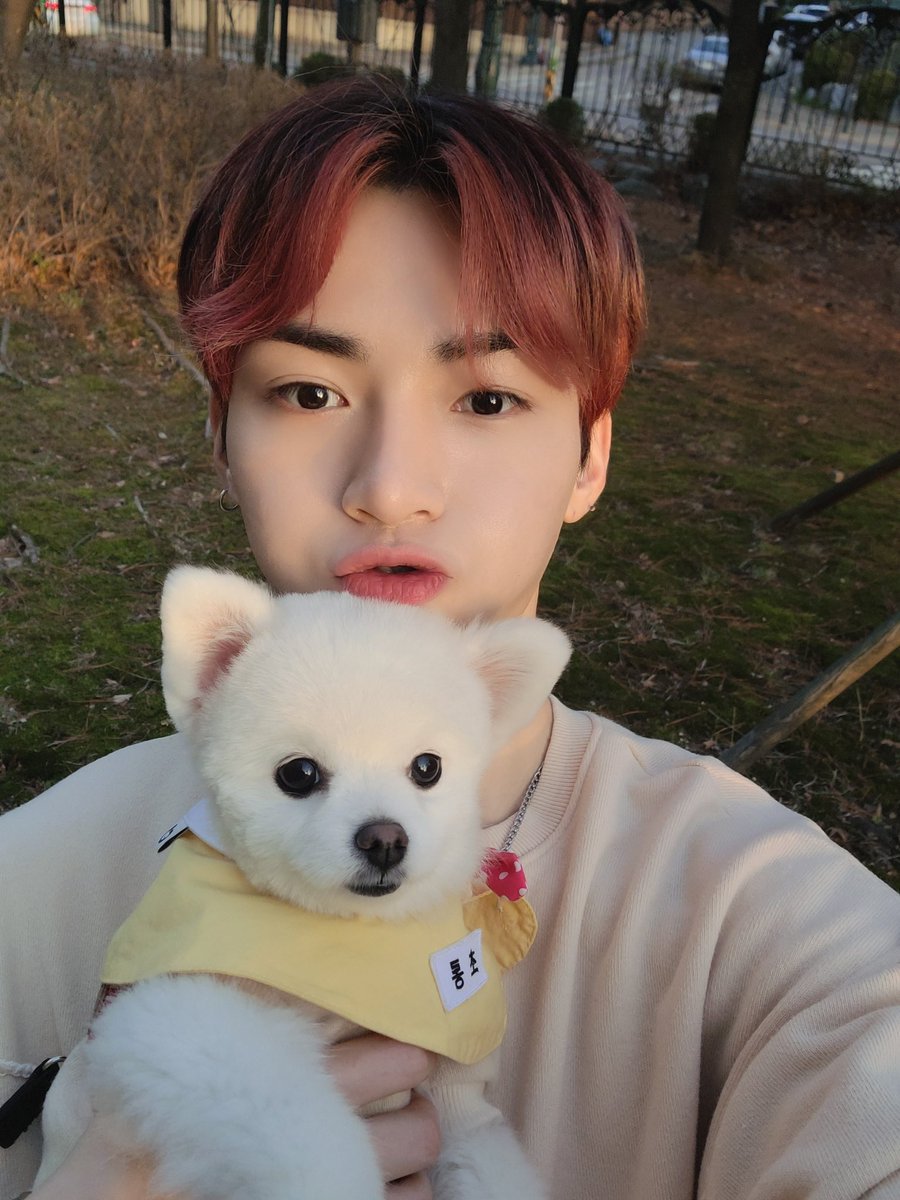 luvjunghoon's tweet photo. —[💜]; #한겸

We will always come back home for them 🐈 🐕 🫶🏻 ✨

⇢⌜#OMEGA_X #오메가엑스 #ForXSelcaDay #FXSD @OmegaX_official @OmegaX_members ⌟ https://t.co/mFUKiUhIv5