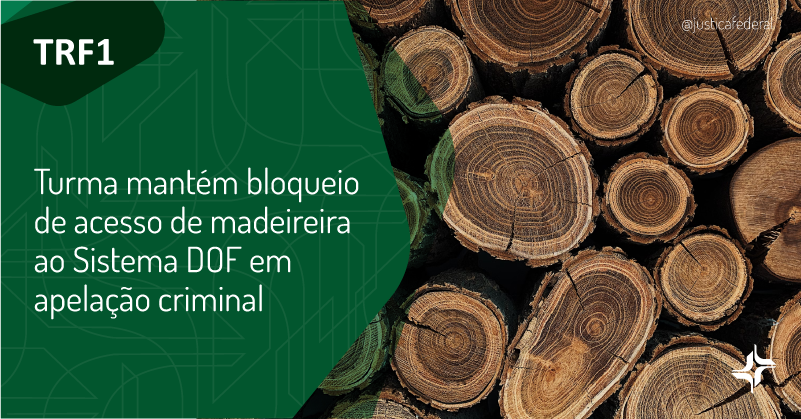 justicafederal's tweet photo. O #TRF1 manteve o bloqueio do acesso de uma madeireira ao Sistema de Emissão de Documento de Origem Florestal e paralisou suas atividades comerciais devido a irregularidades. A empresa era utilizada para dissimular a origem de produtos florestais ilegais. https://t.co/EUImtYbDVL https://t.co/jQN705DTnb