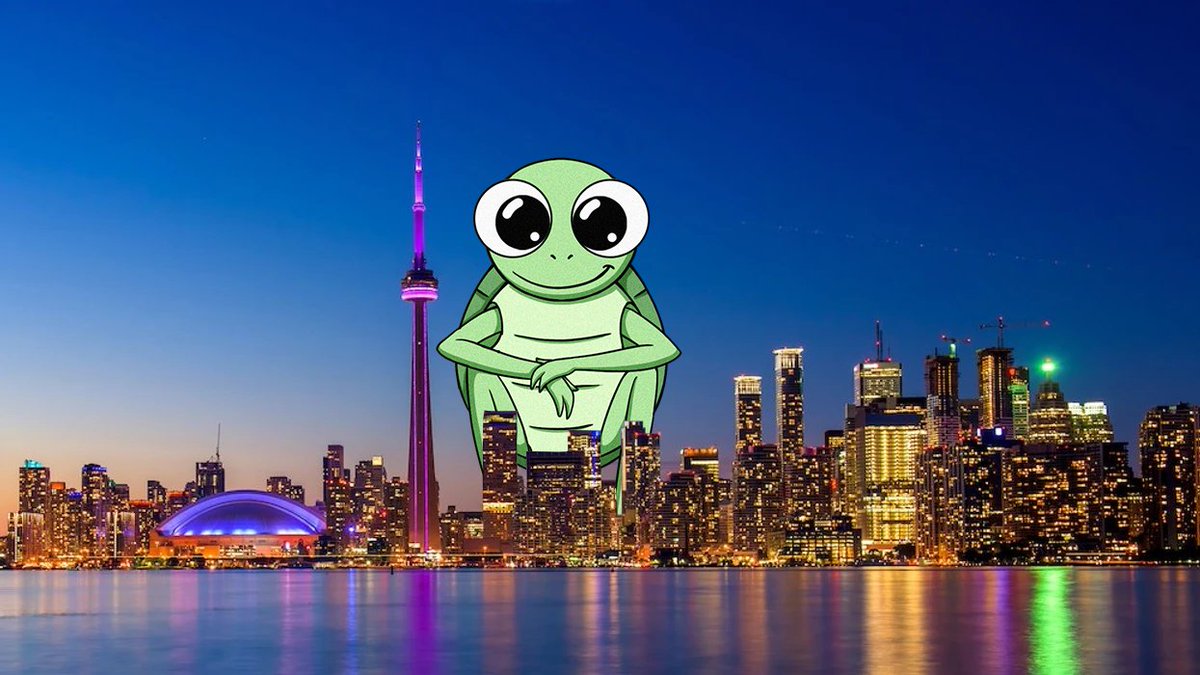 $TWURTLE the turtle tweet media