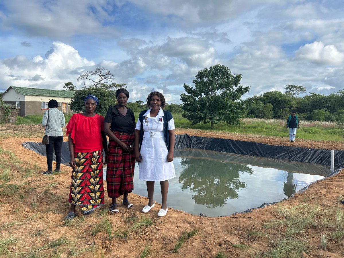 FAOZambia's tweet photo. 🌊🐟Boosting Nutrition & Livelihoods in Choma
✅4 Fish Ponds constructed under the @FAO supported #SUNII programme 🎉
🏠Benefiting 44 direct households & 176 indirect households
11 members of Simukanga Swamp Camp successfully completed their pond!
Fingerlings stocking this week! https://t.co/xooD2c2Rwx