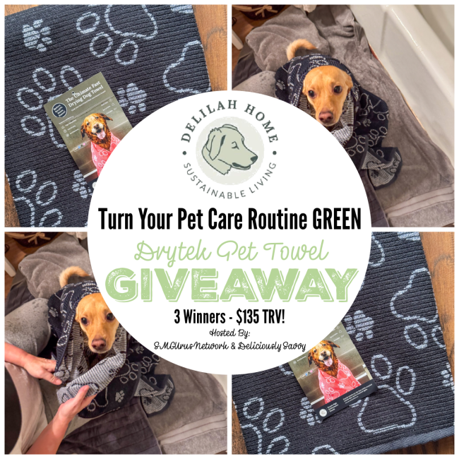 SilvieArmas's tweet image. Enter To Win The Delilah Home Turn Your Pet Care Routine GREEN Drytek Pet Towel Giveaway! 3 Winners Will Win A Delilah Home Drytek Pet Towel! Ends 3/9 @DeliciouslySavv @delilahhome #MySillyLittleGang
Enter Here --&amp;gt;
mysillylittlegang.com/2025/02/04/del…