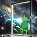 Photo by $TWURTLE the turtle (@soltwurtle)