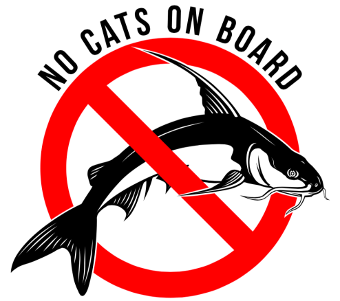 DanCostellodeux's tweet photo. My education spans from literature at Acadia to business at UOW. I'm the senior candidate you need for leadership in Asia. No catfish, thanks. #JobSearch #TopCandidate https://t.co/njkWetqXIF