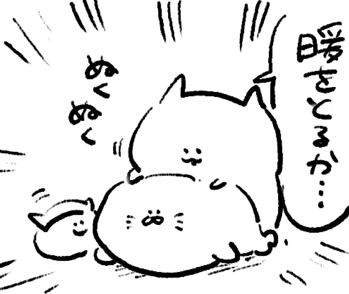 ロケンロー(おやすみ)
温かいアザラシ 