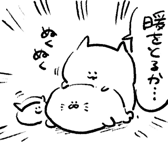 ロケンロー(おやすみ)
温かいアザラシ 